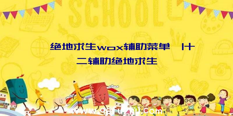 「绝地求生wox辅助菜单」|十二辅助绝地求生